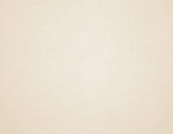 Spinach salad with buffalo burrata and wafu dressing